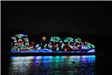A Tropical-Themed Christmas Light Display Reflecting off the Pond Surface